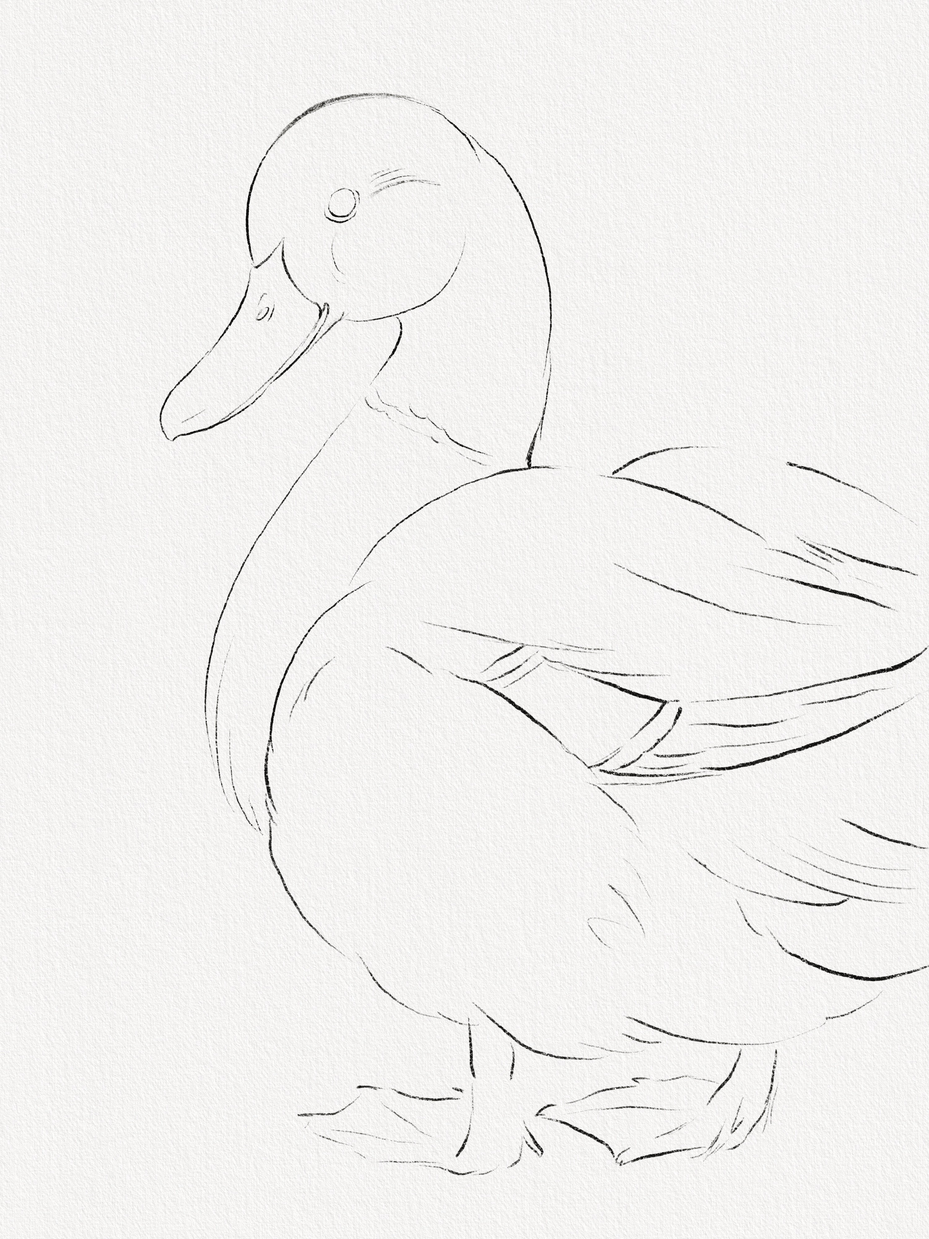Step 1