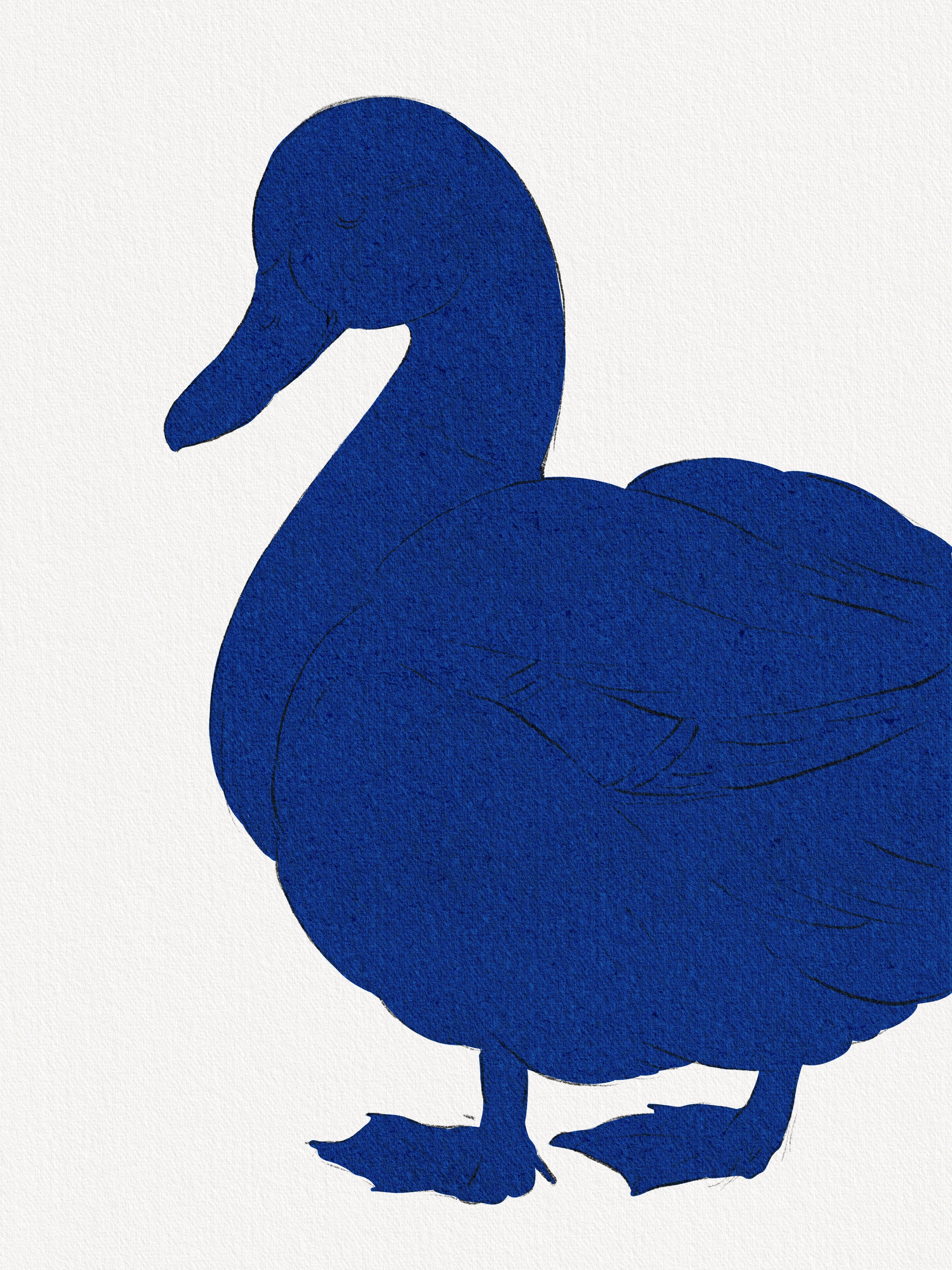 Step 3